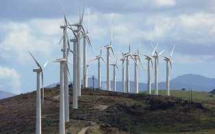 Влияние ветроэнергетики на биоразнообразие в регионе